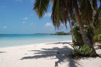 the white sandy beach of Isla Contoy