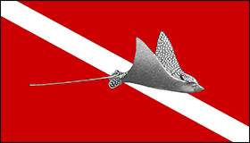 spotted eagle ray on dive flag